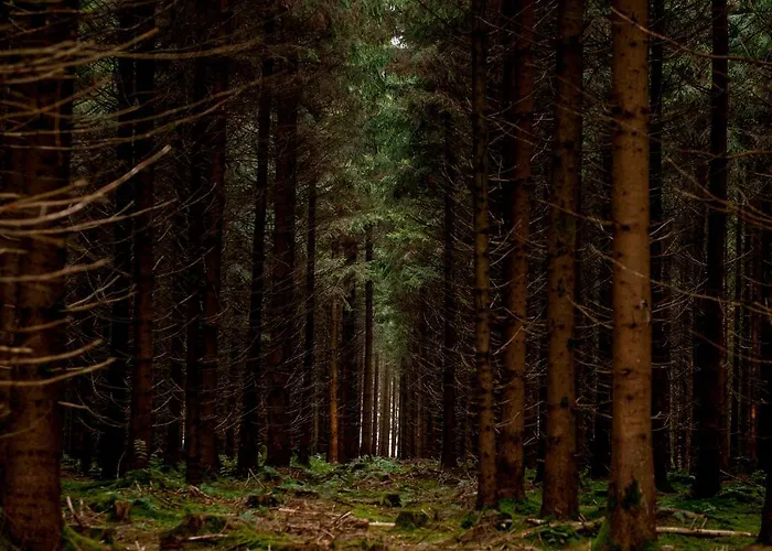 Erstklassiges Thermenhotel in Bad Wurzach